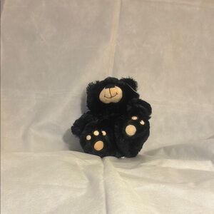 Black Plush Teddy Bear